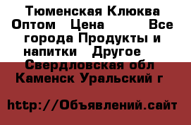 Тюменская Клюква Оптом › Цена ­ 200 - Все города Продукты и напитки » Другое   . Свердловская обл.,Каменск-Уральский г.